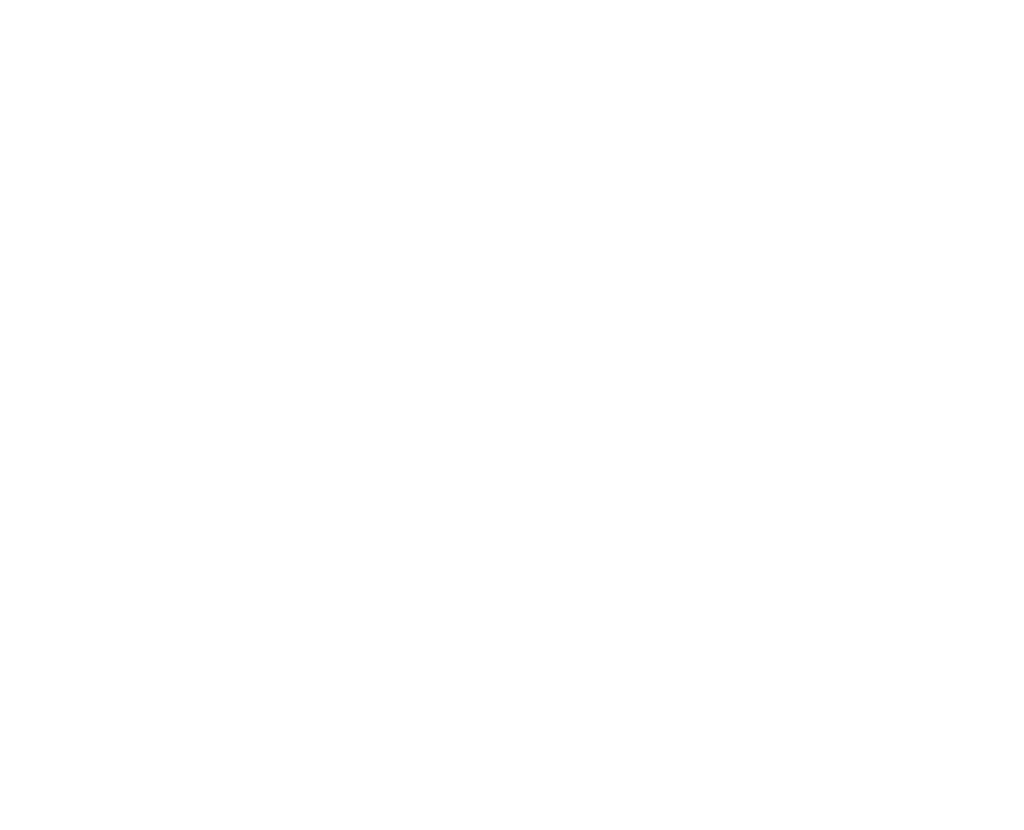 Intelisol